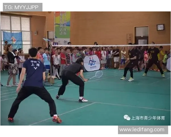 羽毛球精神:北京羽毛球队拼搏历程的真实记录与感悟